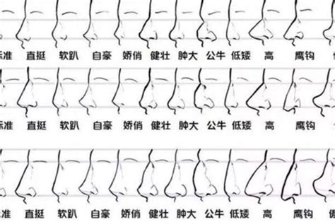 截筒鼻 面相|相学最有福气的7种鼻子 面相中最有福气的7种鼻子